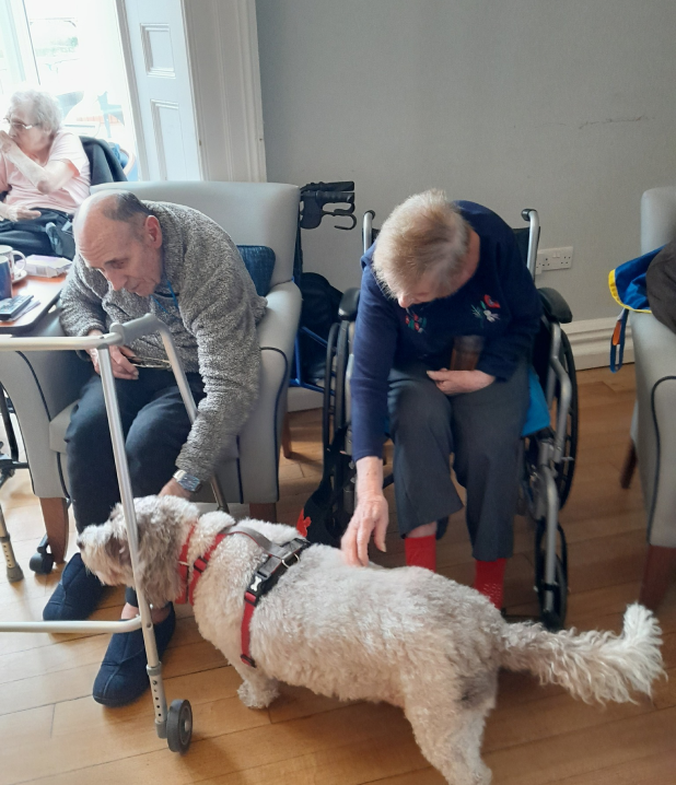 Two residents sat in their chairs, bent down to pet the service dog that is stood in front of them.